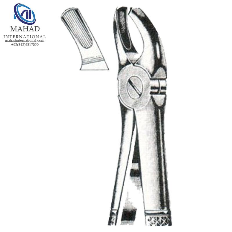 Right Upper Molars